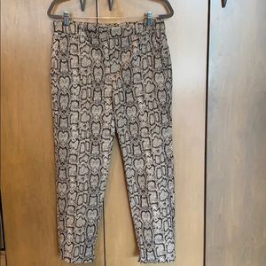 Zara Python Print Pants